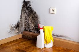 Best Mold Prevention Services  in Minonk, IL